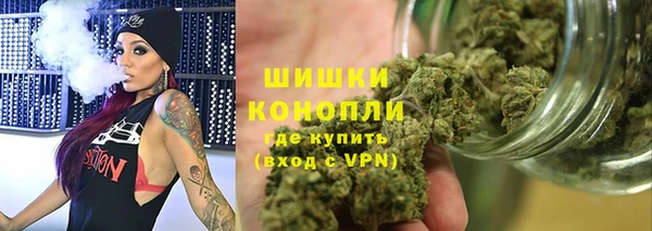 твердый Мегион