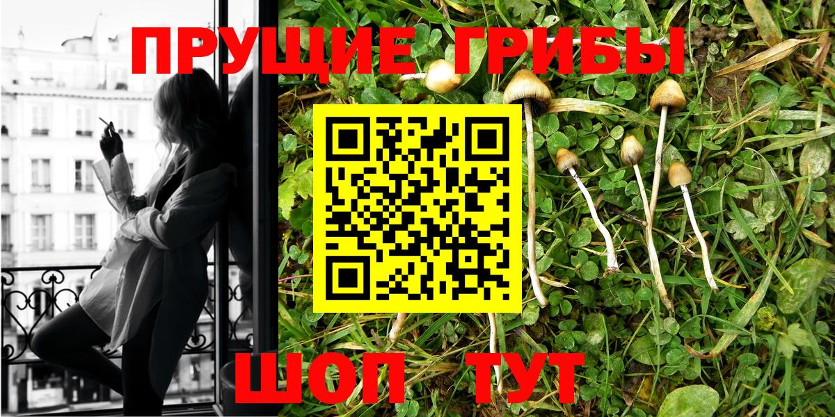 Псилоцибиновые грибы Magic Shrooms  Вход с VPN  Ишимбай 