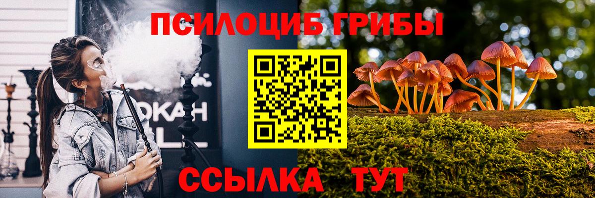 Галлюциногенные грибы мицелий  Галлюциногенные грибы Psilocybe  Ишимбай 